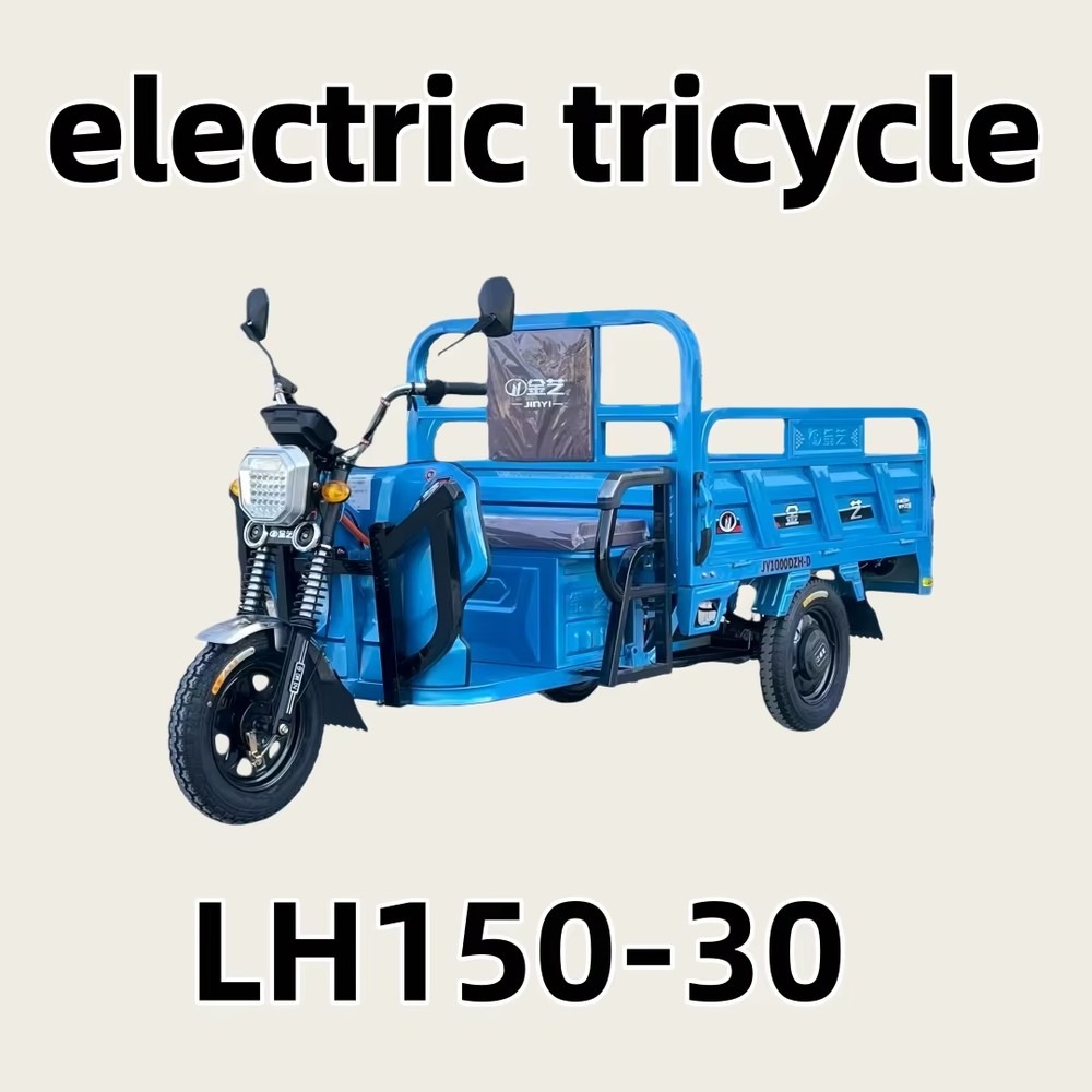 Electric Cargo Tricycle High P - Power Tools Logistics review and price